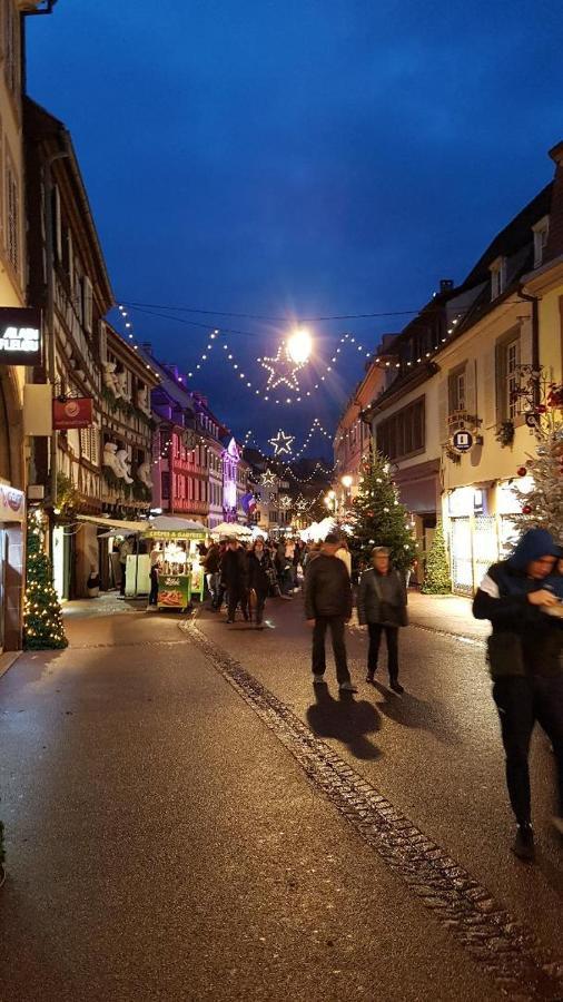 Gite Classe "Le Tilleul" Colmar Luaran gambar