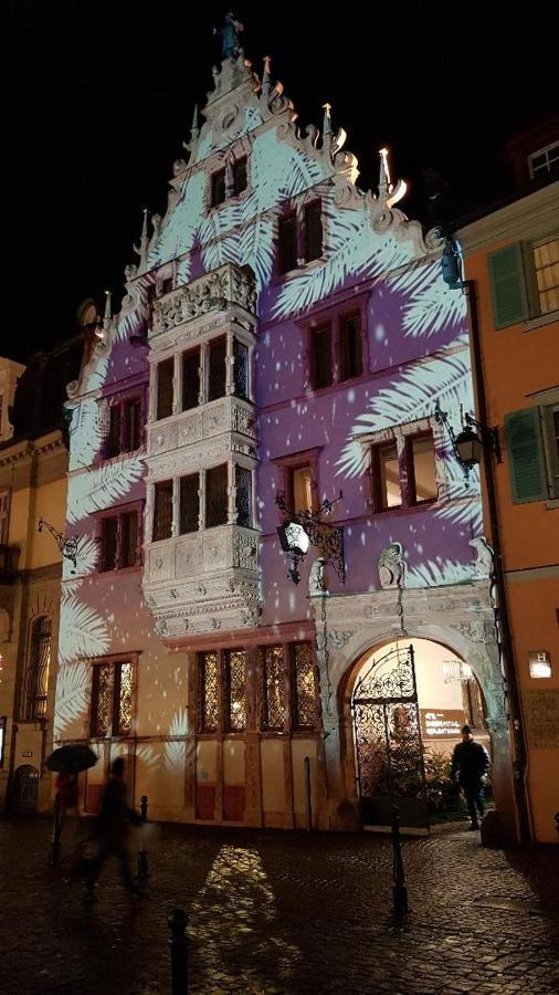 Gite Classe "Le Tilleul" Colmar Luaran gambar